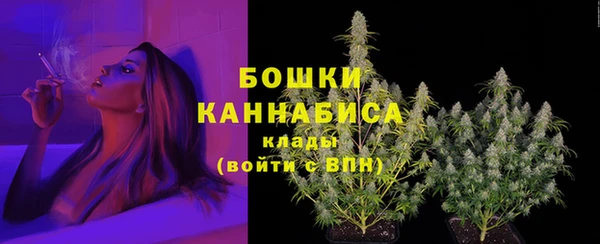 ГАЛЛЮЦИНОГЕННЫЕ ГРИБЫ Заволжье