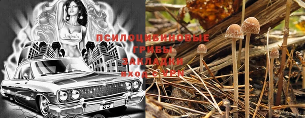 прущие крисы Покачи