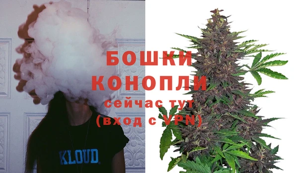 ГАЛЛЮЦИНОГЕННЫЕ ГРИБЫ Заволжье