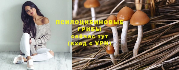 спиды Заволжск