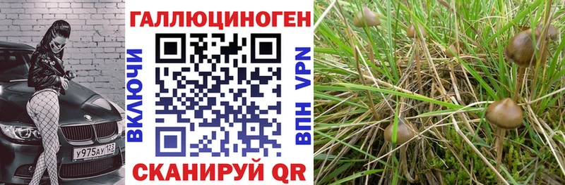 Галлюциногенные грибы Magic Shrooms blacksprut ТОР Грайворон где продают